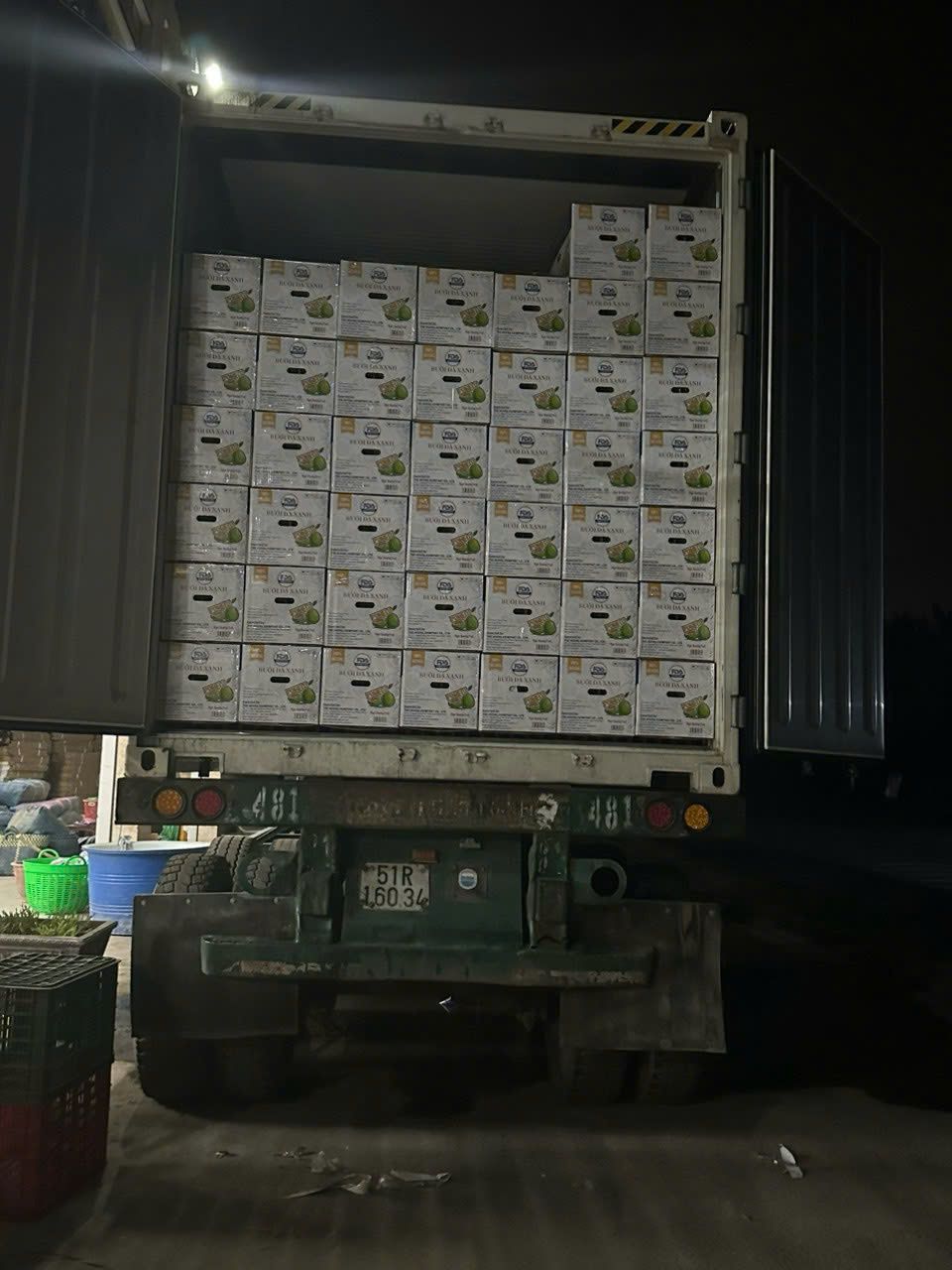 Ảnh xuất hàng - Nhà Xuất Khẩu Bưởi Hồng, Dừa Tươi & Sầu Riêng Từ Việt Nam - Công Ty TNHH Xuất Nhập Khẩu Tuệ Hương