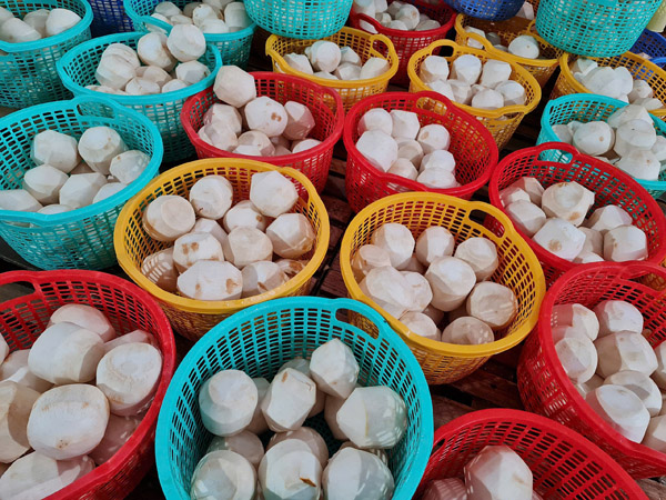 Dừa - Nông Sản Tuệ Hương - Công Ty TNHH Xuất Nhập Khẩu Tuệ Hương