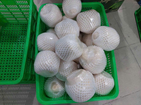 Dừa - Nông Sản Tuệ Hương - Công Ty TNHH Xuất Nhập Khẩu Tuệ Hương