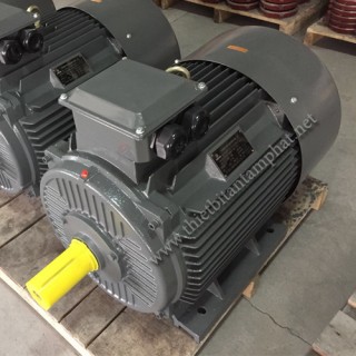 Động cơ điện DongChun Y2