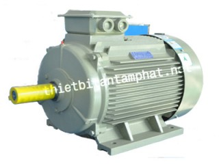 Động cơ điện YE3