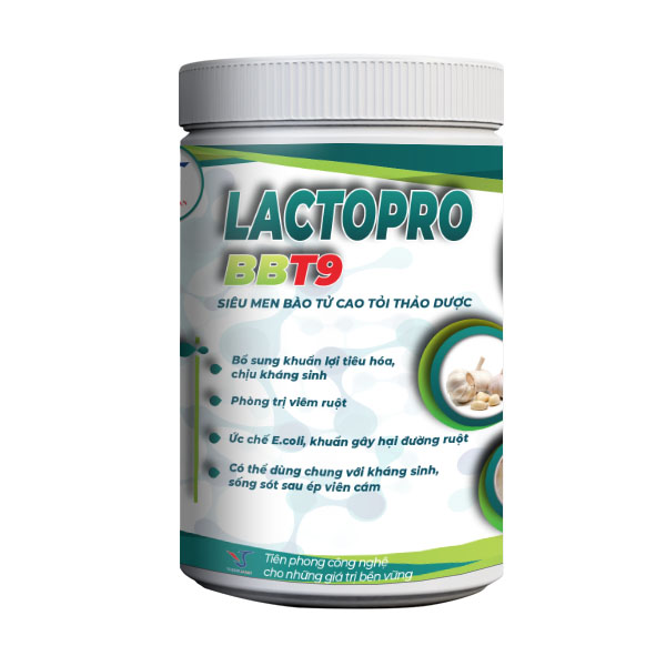 Lactopro BBT9 - Men tỏi kết hợp vi sinh sống - Vi Sinh Japan - Công Ty TNHH ứng Dụng Công Nghệ Vi Sinh Japan