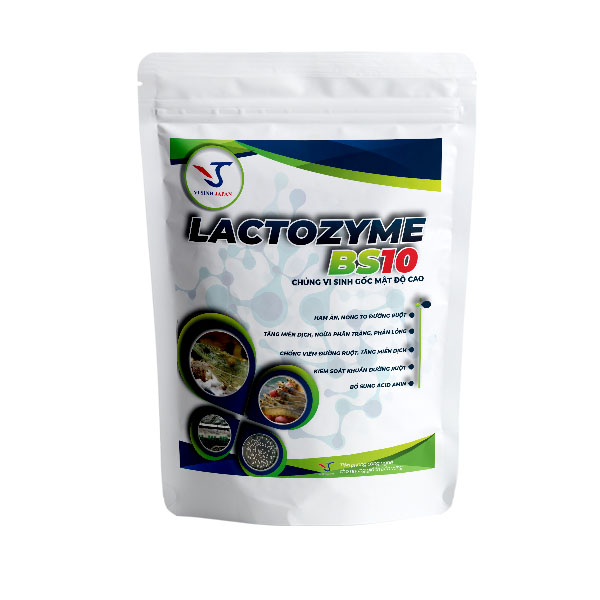 Men vi sinh Lactozyme BS10