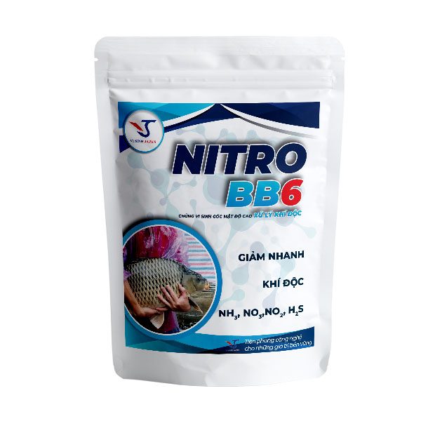 Men vi sinh xử lý khí độc Nitro BB6