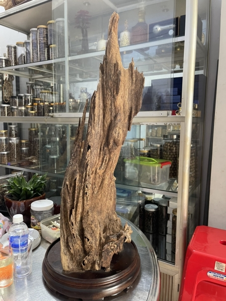 Cảnh trầm