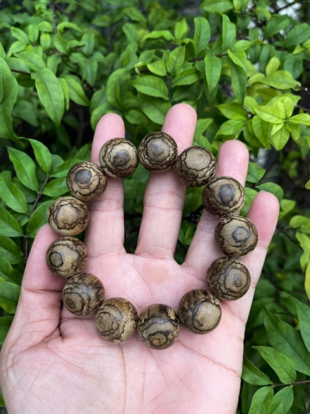 Trầm nổi đeo tay Philipin