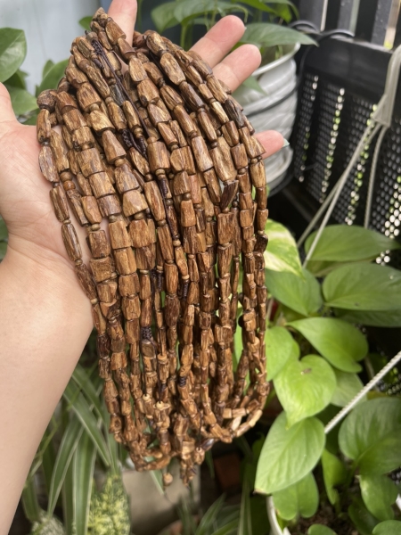 Trầm nổi Philipin