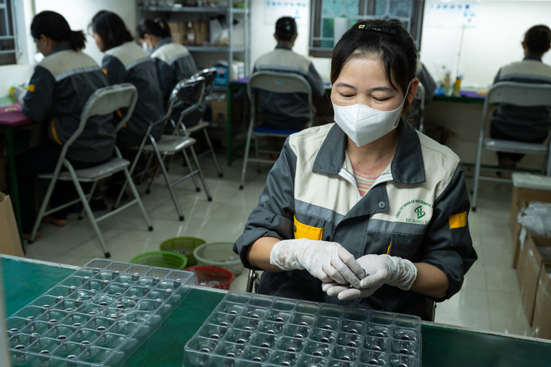 Hình ảnh hoạt động công ty Hoàng Sơn