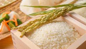 Gạo - Thực Phẩm Phúc Thành - Công Ty TNHH Kinh Doanh Thực Phẩm Phúc Thành