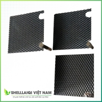 Sản phẩm điện cực Titan