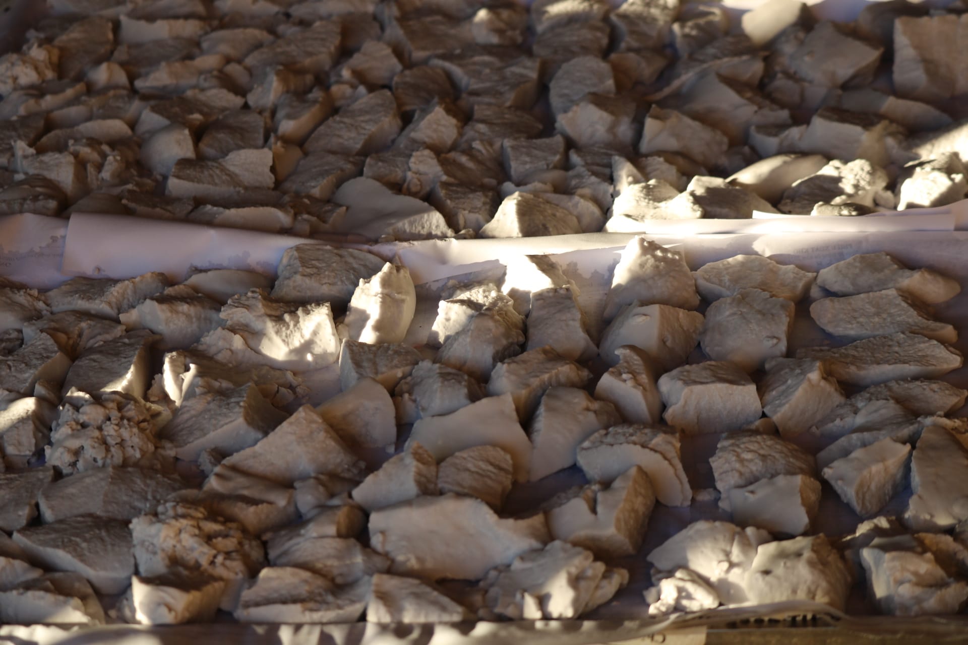 Hình ảnh hợp tác xã nông nghiệp Sen Quê Bác