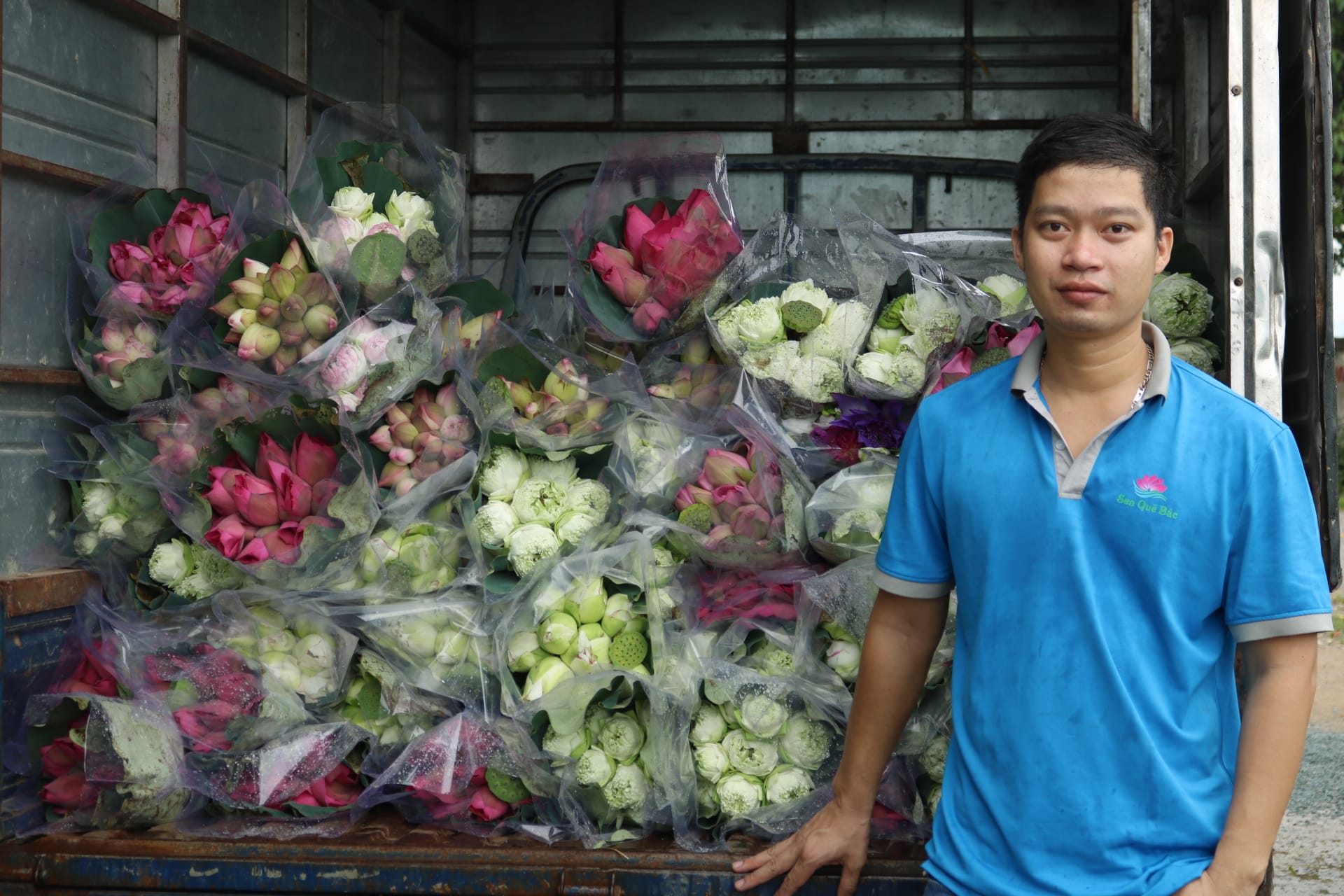 Hình ảnh hợp tác xã nông nghiệp Sen Quê Bác