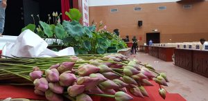 Hoạt động của hợp tác xã nông nghiệp Sen Quê Bác