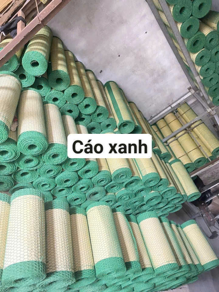 Cáo xanh