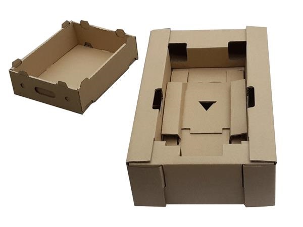 Carton chèn hàng