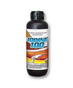 IODINE – 100 - Thuốc Thú Y Thủy Sản Bằng Sơn - Công Ty TNHH Sản Xuất Thương Mại Bằng Sơn