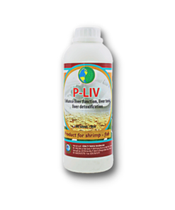 P – LIV - Thuốc Thú Y Thủy Sản Bằng Sơn - Công Ty TNHH Sản Xuất Thương Mại Bằng Sơn