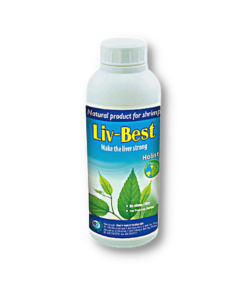 LIV – BEST - Thuốc Thú Y Thủy Sản Bằng Sơn - Công Ty TNHH Sản Xuất Thương Mại Bằng Sơn