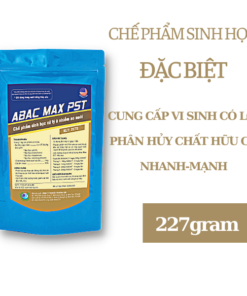 ABAC MAX PST - Thuốc Thú Y Thủy Sản Bằng Sơn - Công Ty TNHH Sản Xuất Thương Mại Bằng Sơn