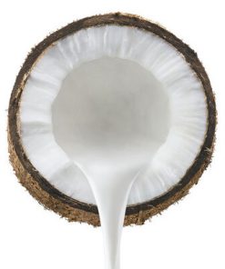 Sữa dừa