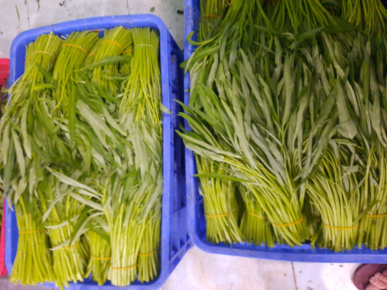  - Hợp Tác Xã Rau An Toàn Mười Hai