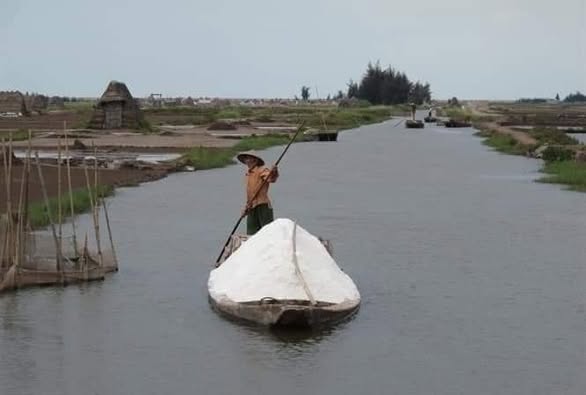Hình ảnh sản xuất công ty Muối Và Thương Mại Nam Định