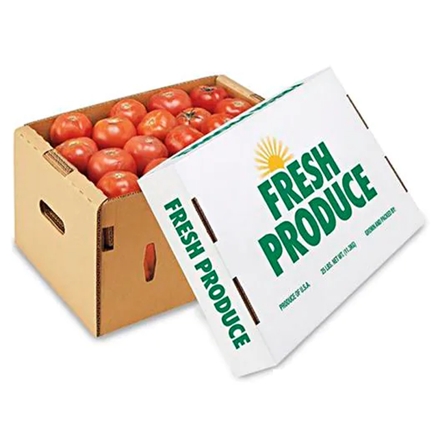Thùng carton đựng hoa quả - Vật Liệu Đóng Gói Paki-Tech - Công Ty TNHH Bao Bì Paki-Tech