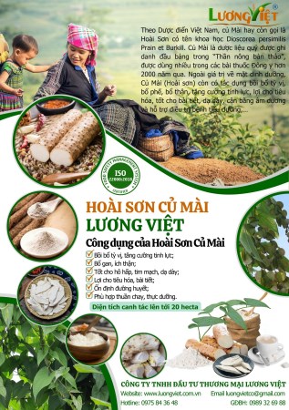  - Chi Nhánh Hà Nam - Công Ty TNHH Đầu Tư Thương Mại Lương Việt