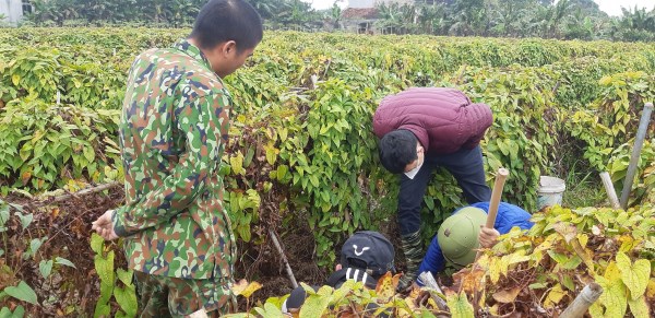  - Chi Nhánh Hà Nam - Công Ty TNHH Đầu Tư Thương Mại Lương Việt