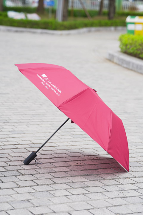 Ô gập 2 tự động 1 chiều 23 inch nan chống lật inox kép LTH04385 - Ô Dù TATSU - Công Ty Cổ Phần Sản Xuất Ô Cầm Tay TATSU