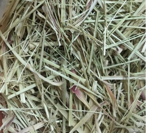 Trà sả sấy khô - Công Ty Cổ Phần Thực Phẩm Sấy Lạnh Sami