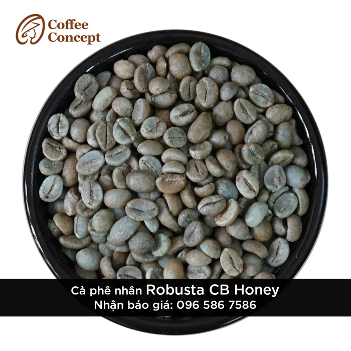 Cà phê nhân Robusta CB Honey - Cà Phê Coffee Concept - Công Ty TNHH Coffee Concept