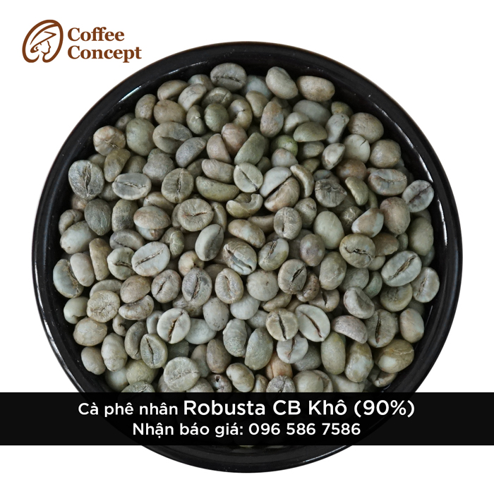 Cà phê nhân Robusta CB Khô (Chín 90) - Cà Phê Coffee Concept - Công Ty TNHH Coffee Concept