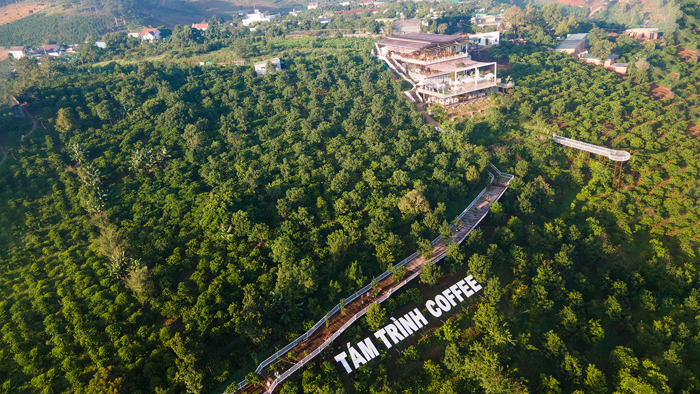 Nông trại cà phê - Cà Phê Coffee Concept - Công Ty TNHH Coffee Concept