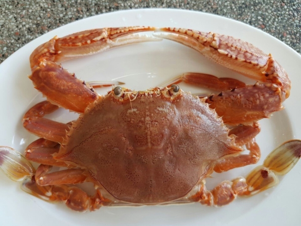 Ghẹ dĩa