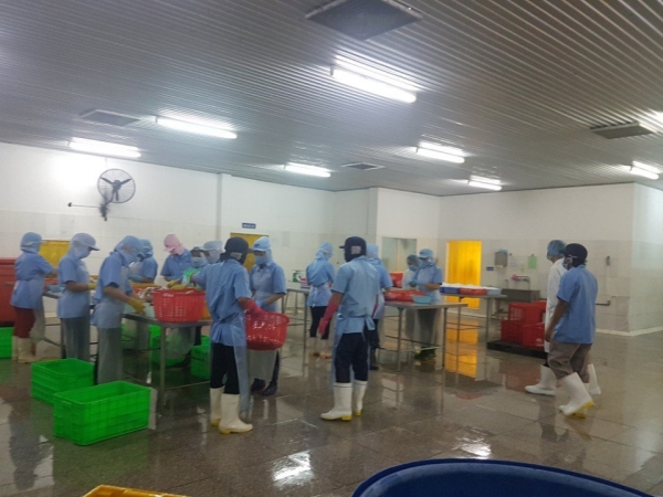 Hình ảnh nhà xưởng sản xuất Đức Danh