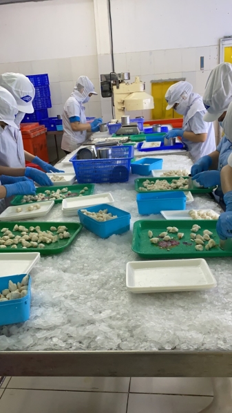 Hình ảnh nhà xưởng sản xuất Đức Danh