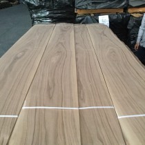 Veneer walnut bông