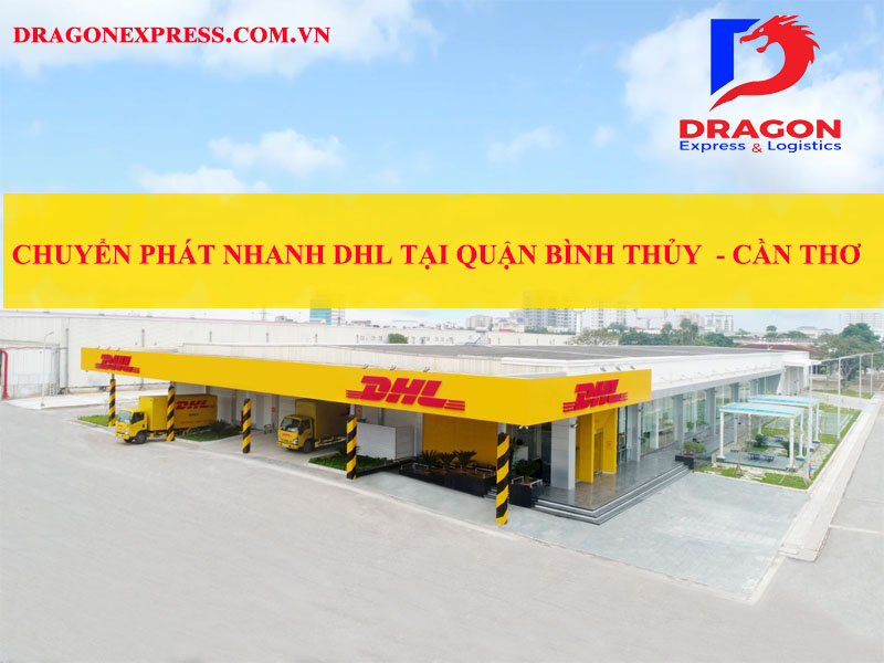 Chi Nhánh – Công Ty TNHH Chuyển Phát Quốc Tế Rồng Việt