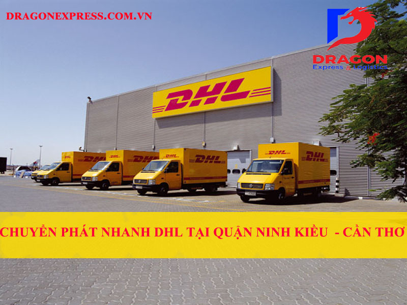 Chi Nhánh – Công Ty TNHH Chuyển Phát Quốc Tế Rồng Việt