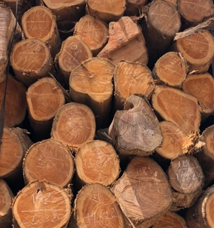 Gỗ nguyên liệu - Công Ty Cổ Phần Cao Nguyên Mộc Châu