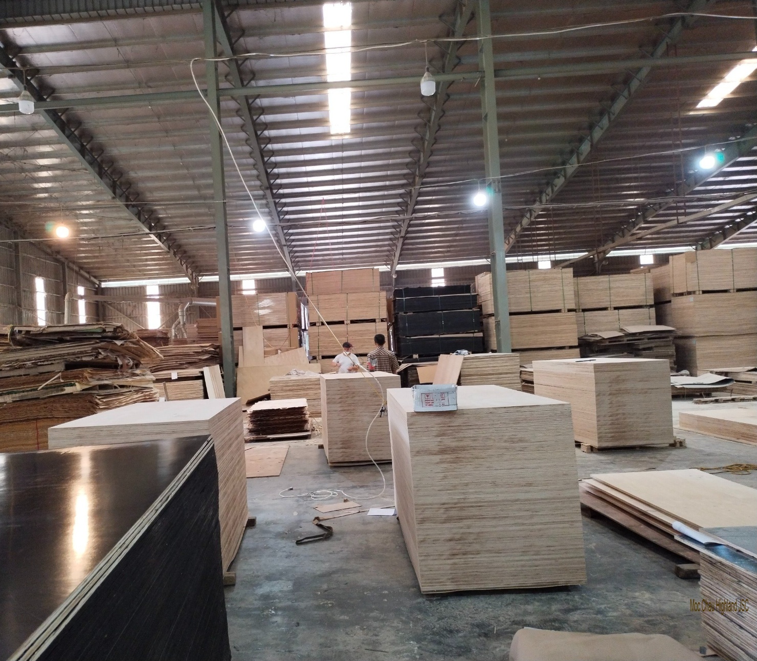 Ván gỗ ép - Công Ty Cổ Phần Cao Nguyên Mộc Châu