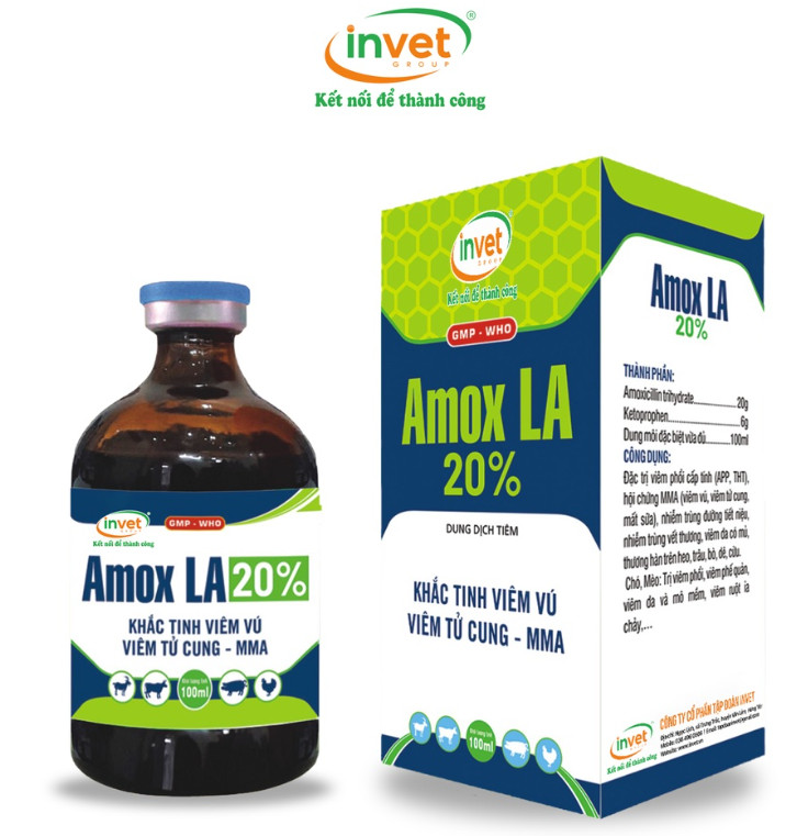 Amox LA 20% - Thuốc Thú Y Toàn Phát Lộc - Công Ty TNHH Thương Mại Và Dịch Vụ Toàn Phát Lộc
