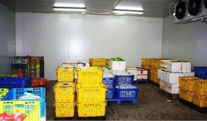 Kho lạnh bảo quản rau tại Đồng Nai - Kho Lạnh Cũ & Mới Công Nghiệp - Công Ty TNHH Cơ Điện Lạnh Kim Ngọc Đăng