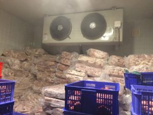 Kho lạnh bảo quản gà tại Long An - Kho Lạnh Cũ & Mới Công Nghiệp - Công Ty TNHH Cơ Điện Lạnh Kim Ngọc Đăng
