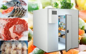 Kho lạnh thực phẩm Bình Dương - Kho Lạnh Cũ & Mới Công Nghiệp - Công Ty TNHH Cơ Điện Lạnh Kim Ngọc Đăng