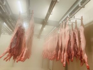 Kho lạnh bảo quản thịt tại Đồng Nai - Kho Lạnh Cũ & Mới Công Nghiệp - Công Ty TNHH Cơ Điện Lạnh Kim Ngọc Đăng