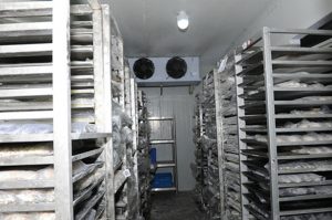 Kho lạnh bảo quản hải sản tại Vũng Tàu - Kho Lạnh Cũ & Mới Công Nghiệp - Công Ty TNHH Cơ Điện Lạnh Kim Ngọc Đăng