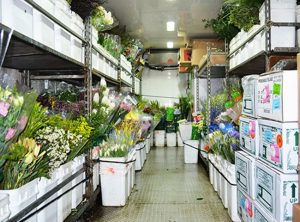 Kho lạnh bảo quản hoa tươi - Kho Lạnh Cũ & Mới Công Nghiệp - Công Ty TNHH Cơ Điện Lạnh Kim Ngọc Đăng
