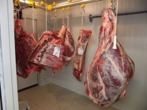 Kho lạnh bảo quản thịt - Kho Lạnh Cũ & Mới Công Nghiệp - Công Ty TNHH Cơ Điện Lạnh Kim Ngọc Đăng